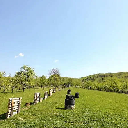 Holiday home Casa Iulia