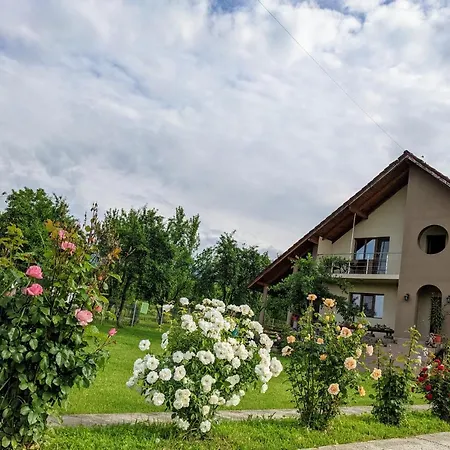 Holiday home Casa Iulia *