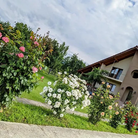 Holiday home Casa Iulia Calimanesti