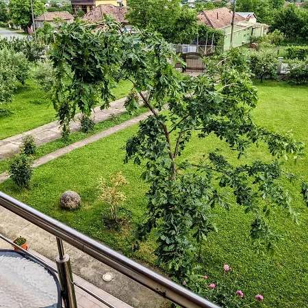 Holiday home Casa Iulia Calimanesti